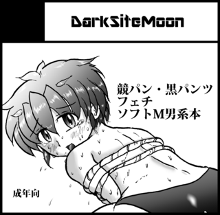cut_sfes3_darksitemoon.png